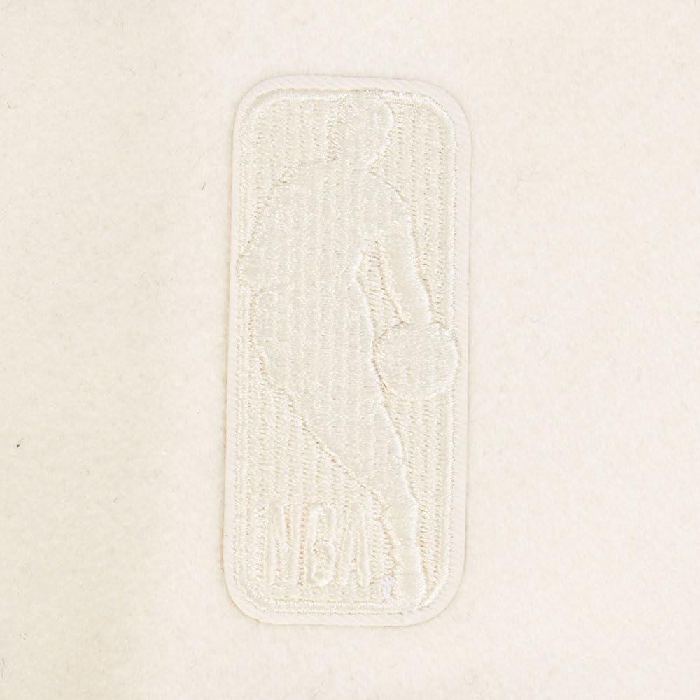 imagePro Standard NBA mens Mens Nba Reverse French Terry Wool Varsity JacketBlackGrayEggshell