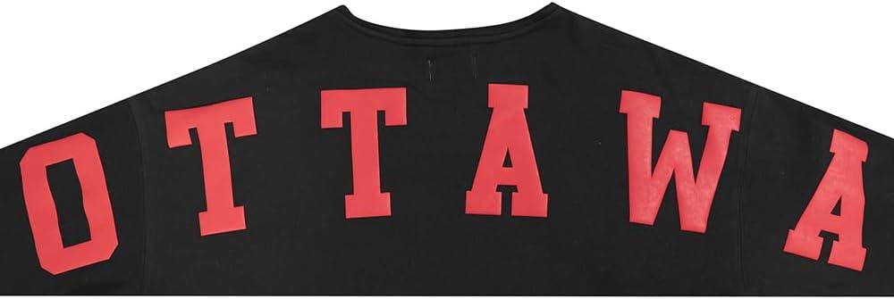 imagePro Standard NHL mens Mens Nhl Wingspan Fleece Pull Over HoodieBlack