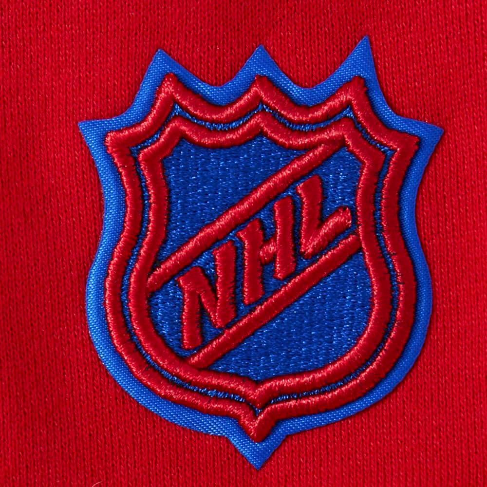imagePro Standard NHL mens Mens Nhl Wingspan Fleece Pull Over HoodieRed