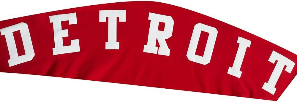 imagePro Standard NHL mens Mens Nhl Wingspan Fleece Pull Over HoodieRed