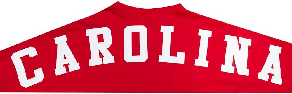 imagePro Standard NHL mens Mens Nhl Wingspan Fleece Pull Over HoodieRed