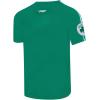 Pro Standard NBA Mens Mens NBA Boston Celtics Classic Player Cotton Taping Tee(Kelly Green)