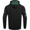 Pro Standard NBA mens Mens Nba Boston Celtics Classic Player Cotton Double Knit Pull Over Hoodie(Black)