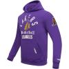 Pro Standard NBA mens Mens Nba Modern Originals Brushed Back French Terry Pull Over Hoodie(Purple)
