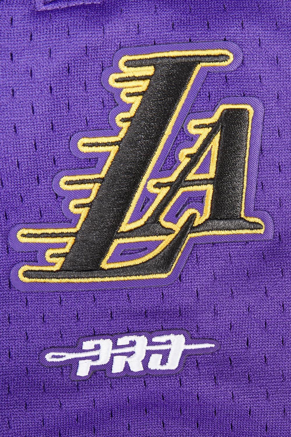 imageBig Boys NBA Classic Chenille Fleece Athletic ShortBlackPurple