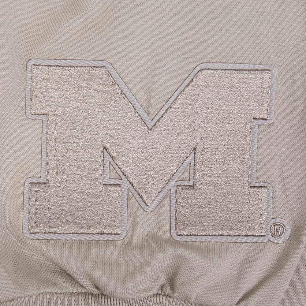 imagePRO STANDARD Mens College Wingspan Cotton Long Sleeve TeeTaupe