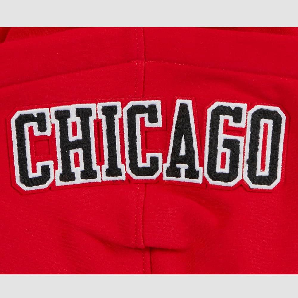 imagePro Standard Big Boys NBA Classic Chenille Fleece Full Zip HoodieRed