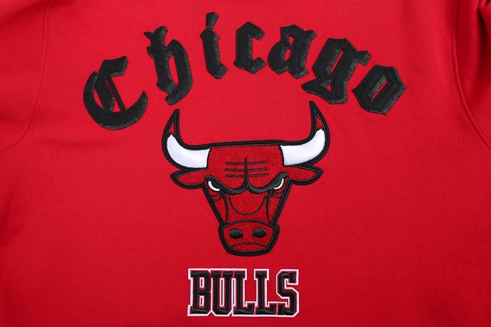 imagePro Standard Mens NBA Old English Pull Over HoodieRed