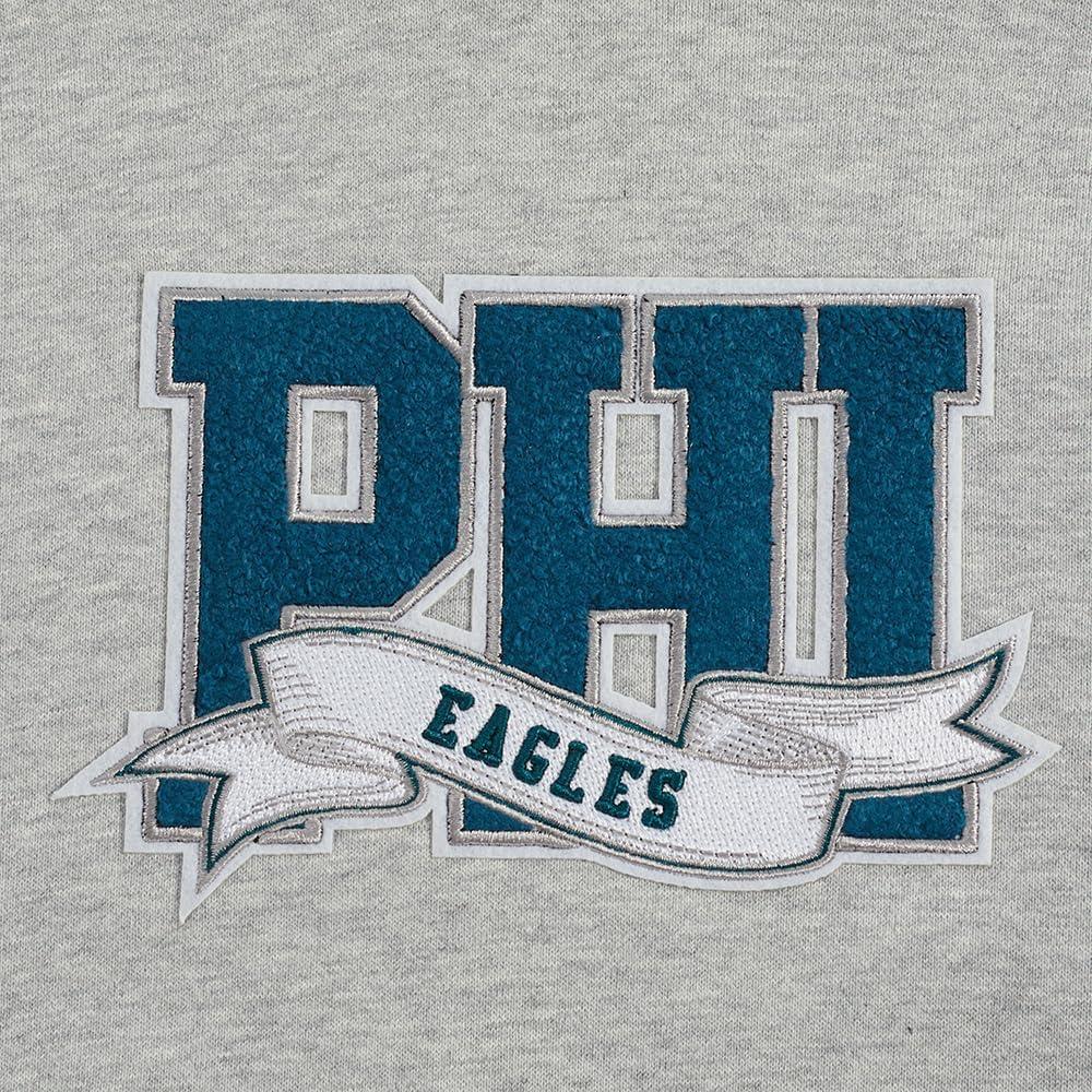 imagePro Standard Mens NFL Team Pennants Brushed Back French Terry Pull Over HoodieGrey