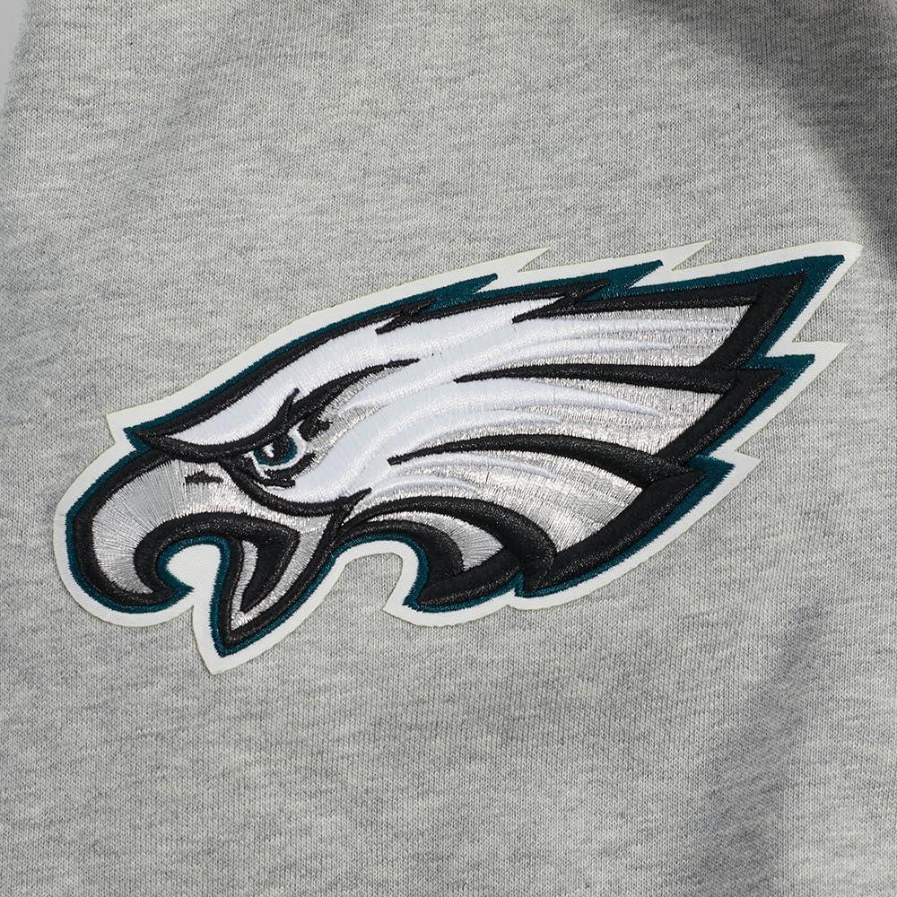imagePro Standard Mens NFL Team Pennants Brushed Back French Terry Pull Over HoodieGrey