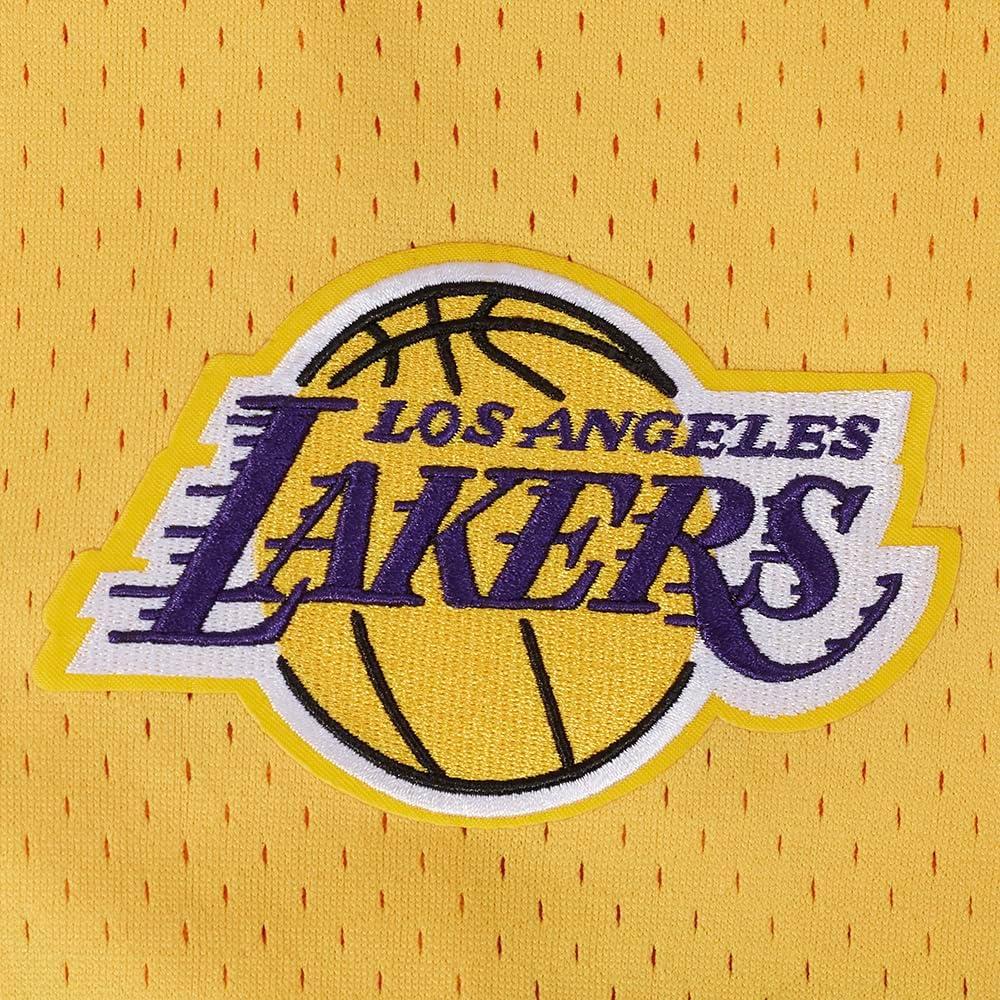 imagePro Standard NBA Mens Mens NBA Los Angeles Lakers Classic Player Mesh Down TopTeam Color