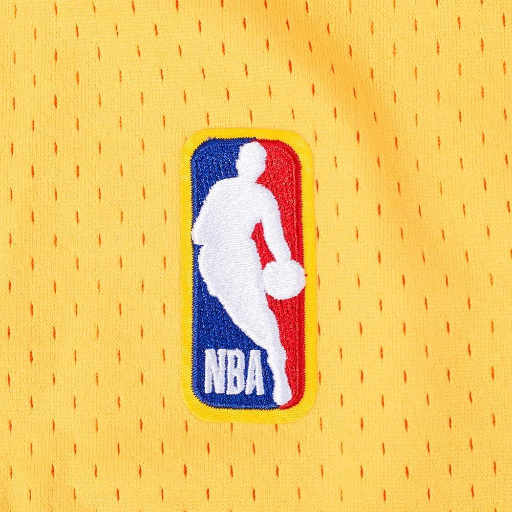 imagePro Standard NBA Mens Mens NBA Los Angeles Lakers Classic Player Mesh Down TopTeam Color