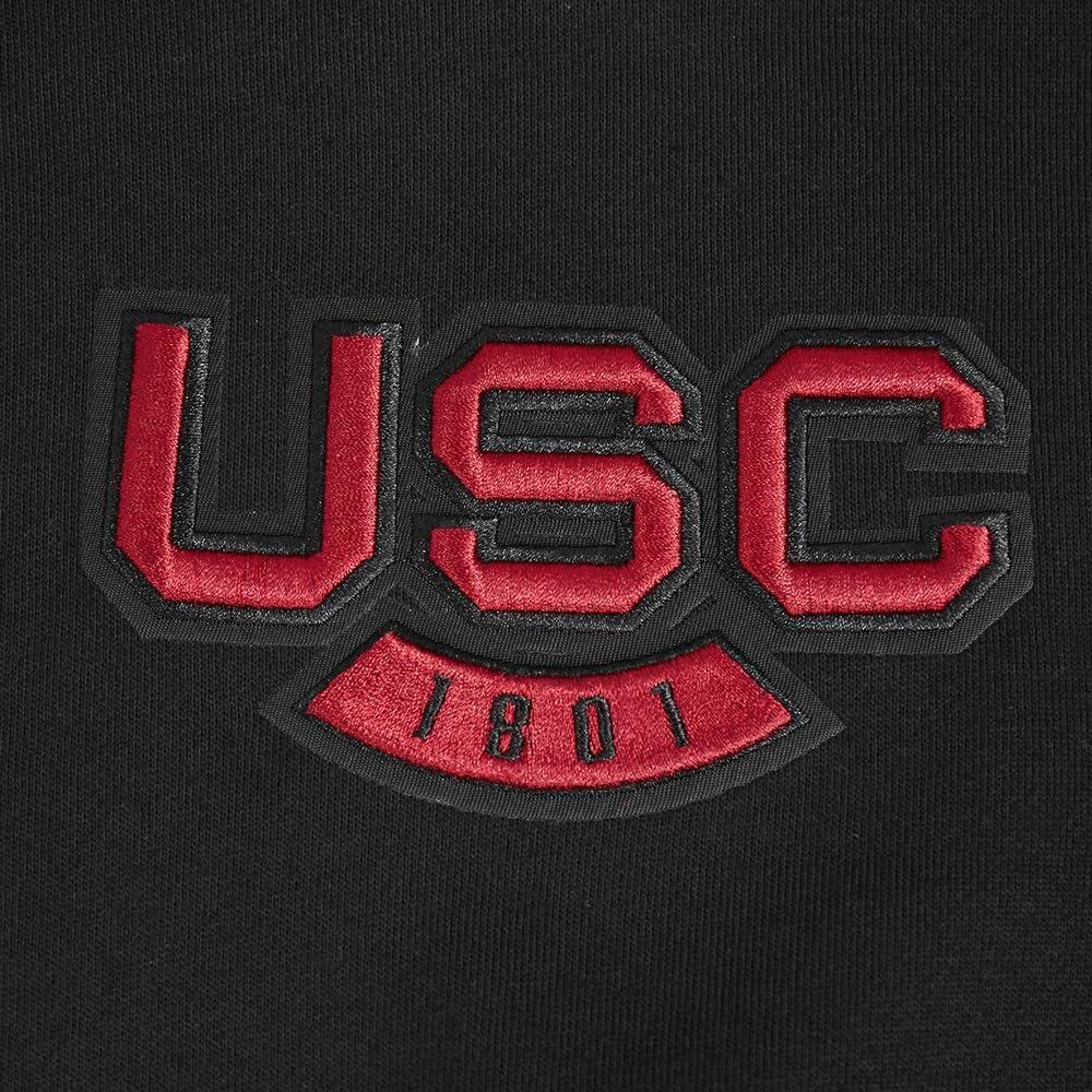 imagePro Standard NCAA mens Mens College Wingspan Fleece Pull Over HoodieBlack