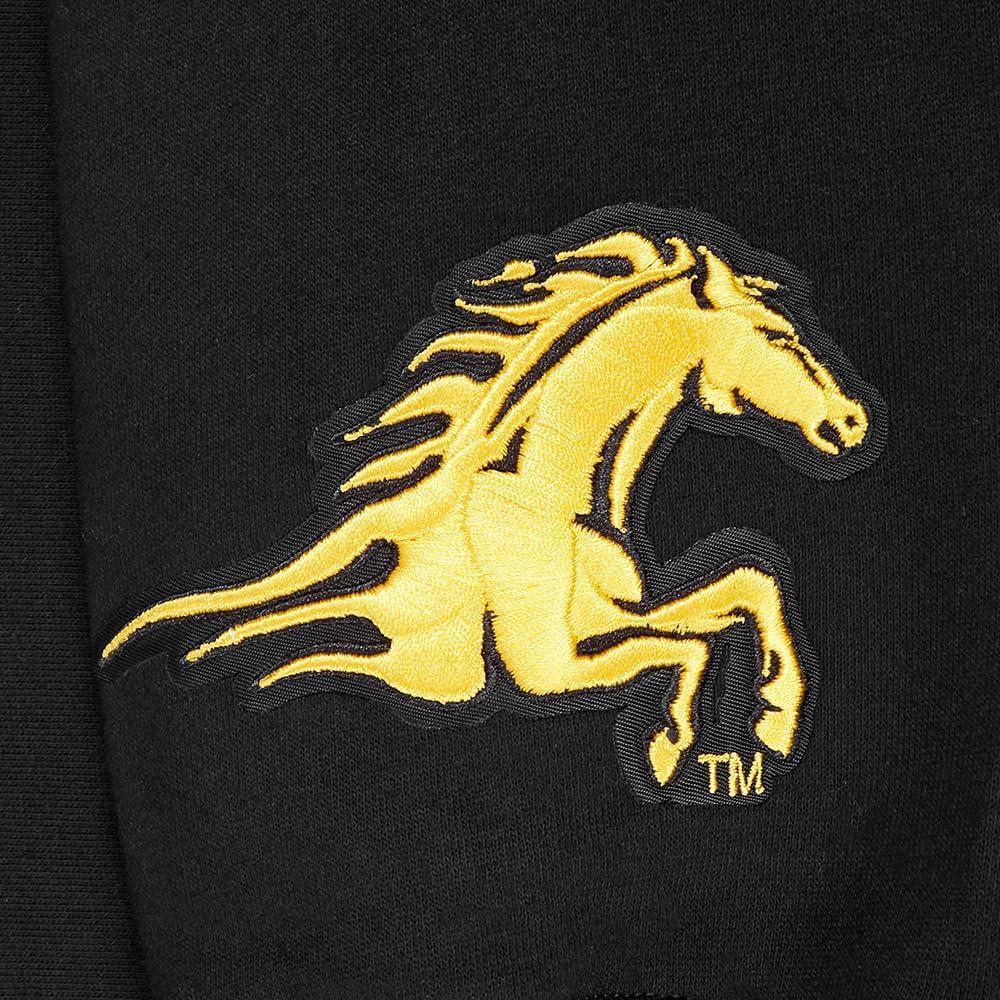 imagePro Standard NCAA mens Mens College Wingspan Fleece Pull Over HoodieBlack