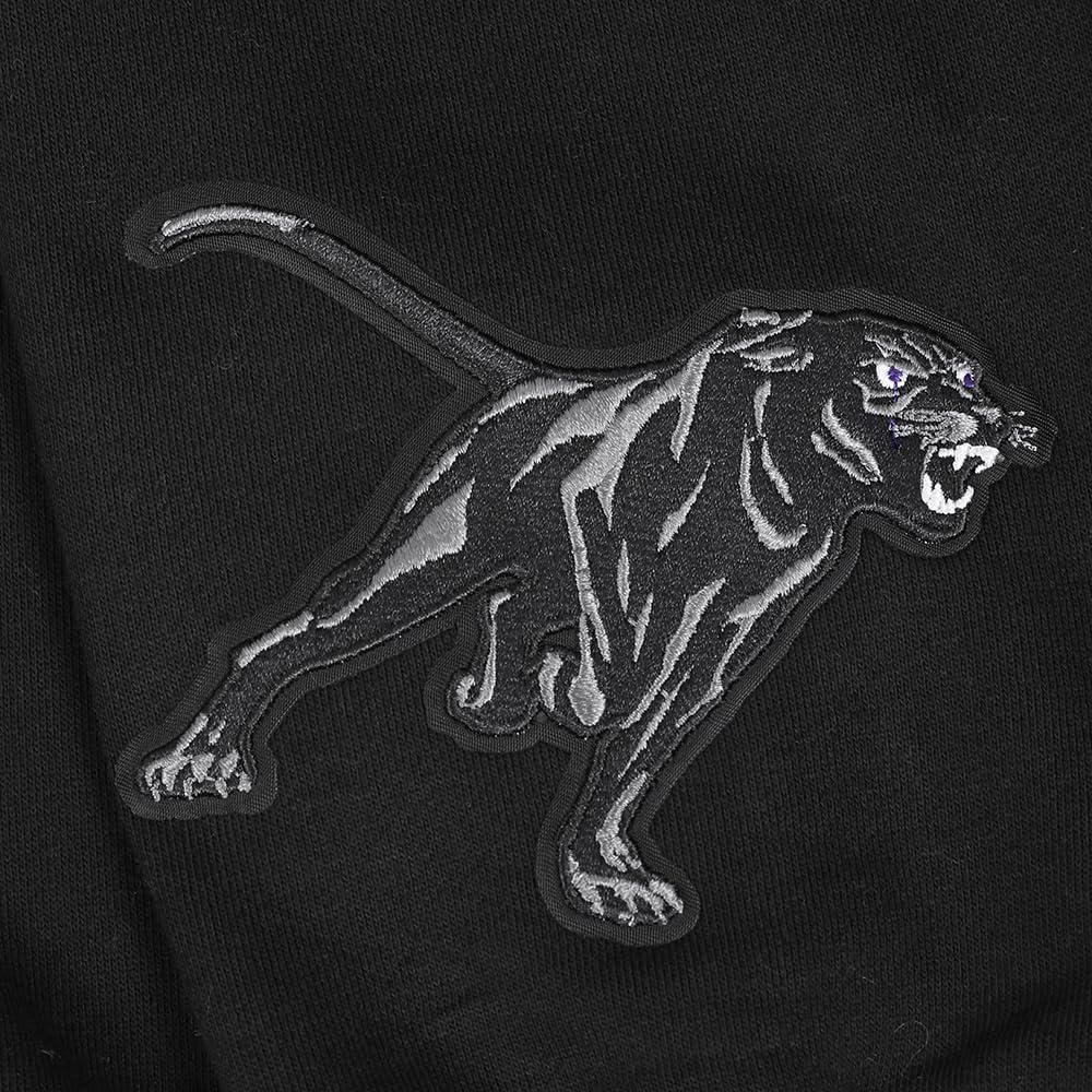 imagePro Standard NCAA mens Mens College Wingspan Fleece Pull Over HoodieBlack