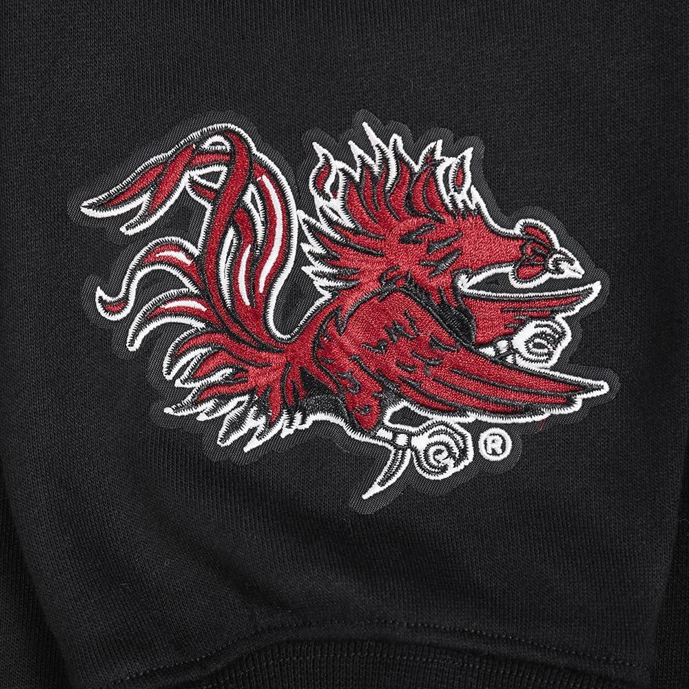 imagePro Standard NCAA mens Mens College Wingspan Fleece Pull Over HoodieBlack