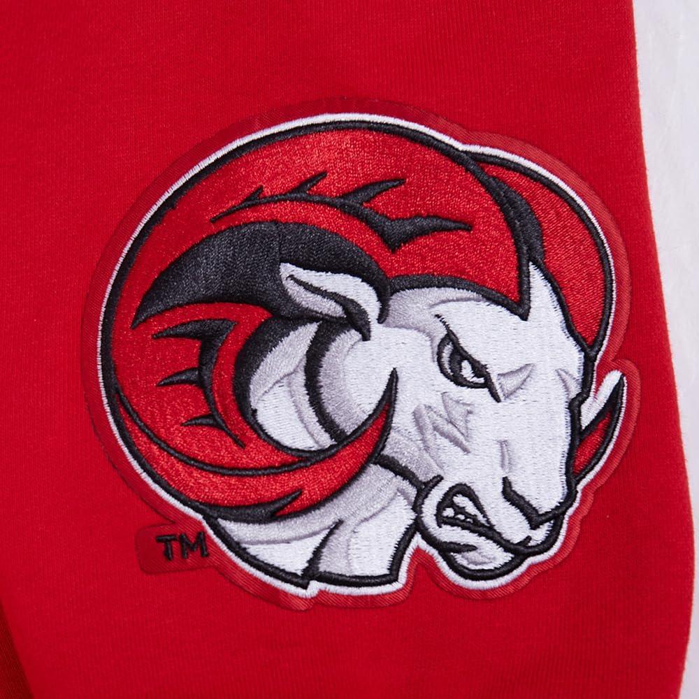 imagePro Standard NCAA mens Mens College Wingspan Fleece Pull Over HoodieRed