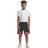 Pro Standard Big Boys NFL Classic Chenille Athletic Short(Black/Red)