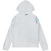 Pro Standard Big Boys NFL Classic Chenille Full Zip Hoodie(Heather Grey)