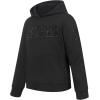 Pro Standard Big Boys NFL Classic Triple Black Pull Over Hoodie(Black)