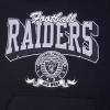 Pro Standard Mens NFL Team Badge Brushed Back French Terry Pull Over Hoodie(Black)