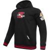 Pro Standard Mens NFL Team Pennants Brushed Back French Terry Pull Over Hoodie(Black)