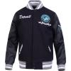 DETROIT LIONS