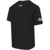 Pro Standard Mens NFL Detroit Lions Reverse French Terry Short Sleeve Tee Black L