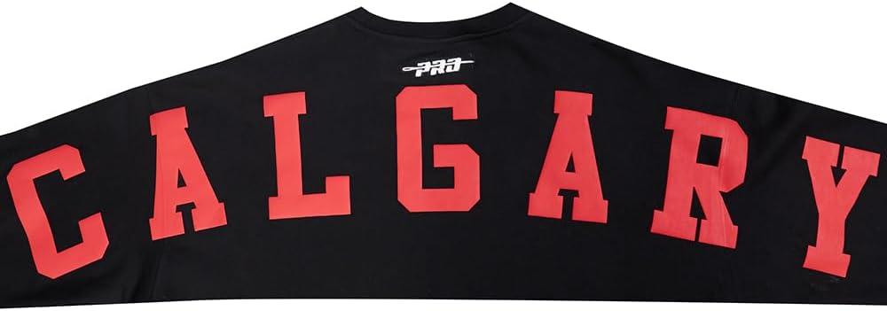 imagePro Standard NHL mens Mens Nhl Wingspan Fleece Crewneck SweatshirtBlack