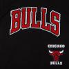 Pro Standard Big Boys NBA Chicago Bulls Retro Classics Short Sleeve Taping Tee Black/Red M