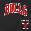 Pro Standard Big Boys NBA Chicago Bulls Retro Classics Short Sleeve Taping Tee Black/Red M