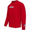 Pro Standard NHL mens Mens Nhl Wingspan Fleece Crewneck Sweatshirt(Red)