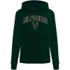 Pro Standard NBA womens Womens Nba Classic Chenille Brushed Back French Terry Pull Over Hoodie(Forest Green)