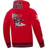 Pro Standard Mens NBA Reverse French Terry Pull Over Hoodie(Red/Black)