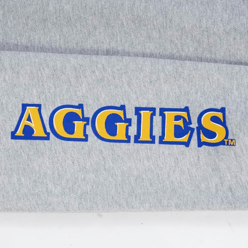 imagePro Standard NCAA mens Mens College Classic Chenille Brushed Back French Terry Pull Over HoodieHeather GreyDodger Blue