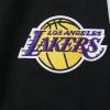Pro Standard Big Boys NBA Los Angeles Lakers Lebron James #23 Classic Player Pull Over Hoodie Black M
