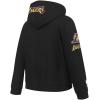 Pro Standard Big Boys NBA Los Angeles Lakers Lebron James #23 Classic Player Pull Over Hoodie Black M