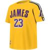 Pro Standard Big Boys NBA Los Angeles Lakers Lebron James #23 Classic Player Short Sleeve Taping Tee Yellow/Black S