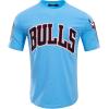 Pro Standard NBA Mens Mens NBA Classic Chenille Cotton Short Sleeve Tee(Primary Team Color)