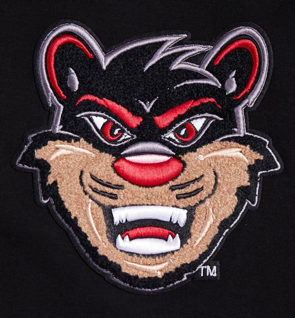 imagePro Standard Mens College University Of Cincinnati College Classic Chenille Pull Over Hoodie Black XL