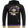 Pro Standard Mens NHL Split Logo Cotton Double Knit Pull Over Hoodie(Black/Purple)
