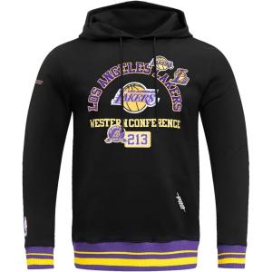 Pro Standard Mens NHL Split Logo Cotton Double Knit Pull Over Hoodie(Black/Purple)
