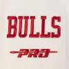 Pro Standard NBA mens Mens Nba Best of Fleece Crewneck Sweatshirt(Eggshell)