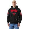 Pro Standard NBA mens Mens Nba Best of Fleece Pull Over Hoodie(Black)
