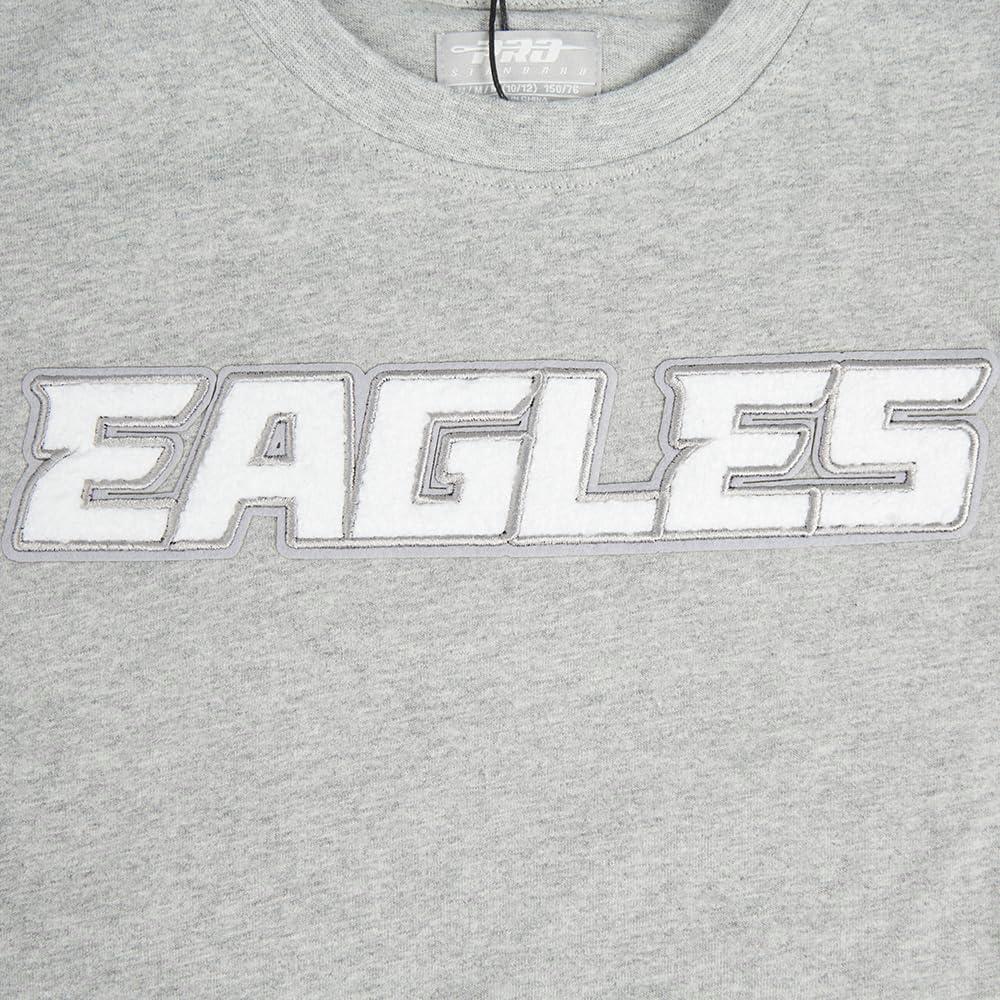 imagePro Standard Big Boys NFL Philadelphia Eagles Classic Chenille Short Sleeve Tee Heather Grey L