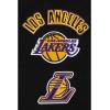 Pro Standard Big Boys NBA Los Angeles Lakers Retro Classics Short Sleeve Taping Tee Black/Purple L