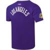 Pro Standard NBA Mens Mens NBA Modern Originals Cotton Short Sleeve Tee(Purple)