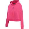 Pro Standard Womens NBA Classic Triple Pink Cropped Pullover Hoodie(Beetroot Purple)
