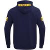 Pro Standard Mens College Classic Chenille Double Knit Full Zip Hoodie