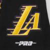 Pro Standard Big Kids Los Angeles Lakers Classic PNN Cotton Short Sleeve Tee(Black)